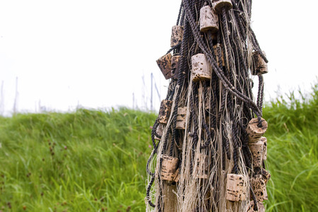 Fishing nets hangin outside against background of green grassの写真素材