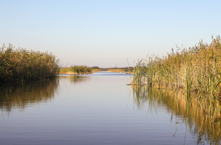 Beautiful Naardermeer area in the netherlandsの写真素材