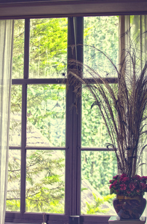 Old fashioned interior with closed windows and view of the gardenの写真素材