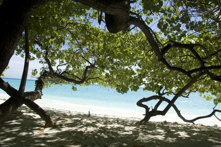 A beautiful beach on maldives with clear water in different shades of blue.の写真素材