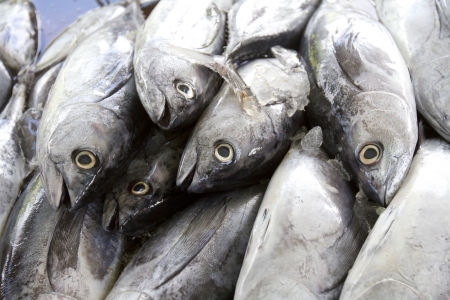 Close up shot of the display of fish on the marketの写真素材