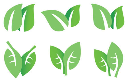 Set of six designs of double green leaves vector icons isolated on white backgroundのイラスト素材