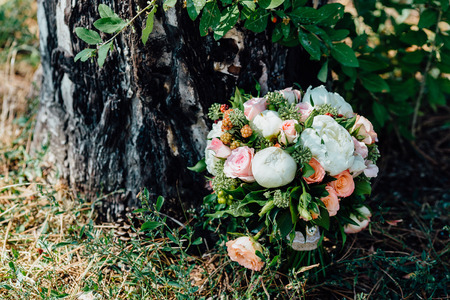 white flowers in the gardenの写真素材