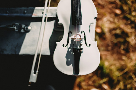 beautiful violin for the weddingの写真素材