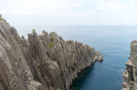 Tojinboの写真素材