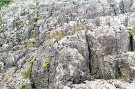 Tojinboの写真素材