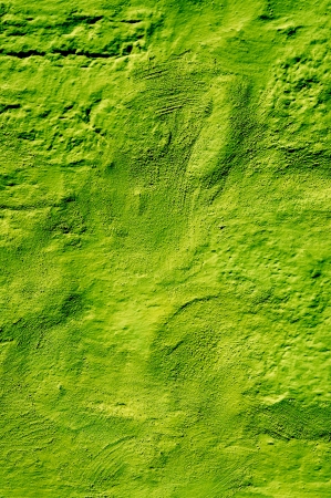 plastered background wall in green.の写真素材