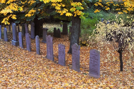 Ancient jewish cemetary in late fall.のeditorial素材