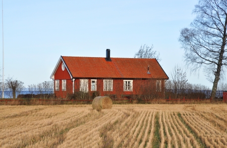 Red cottage by a wheat field with a lake in the backgroundのeditorial素材