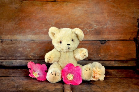 Teddy bear with hollyhock flowers on an old bench の写真素材