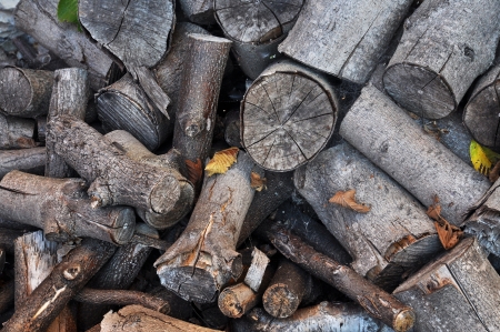 Closeup of pile of gray firewood with autumn leaves 