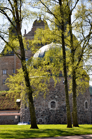 Vadstena castle through birch trees in the spring.のeditorial素材