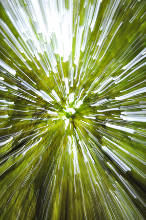 Green background of leaves in motion blur.の写真素材