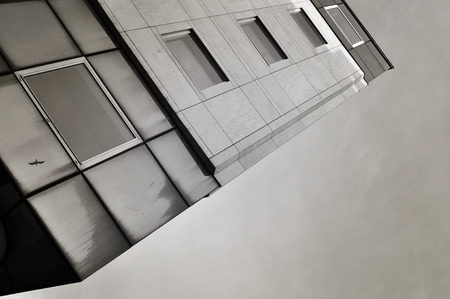 Highrise building with bird reflexion.の写真素材