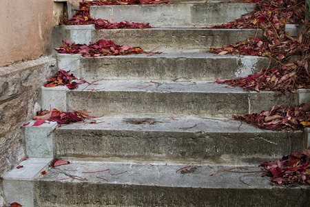 Autumn leaves on old stone steps.の写真素材