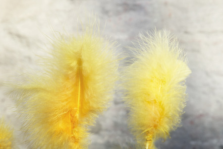 Yellow syntethic easter feathers in closeup.の写真素材