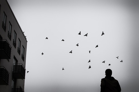Textured artistic black and white image of a urban man with birds in the sky.の写真素材
