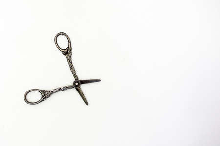 Isolated vintage grape scissors with copy space