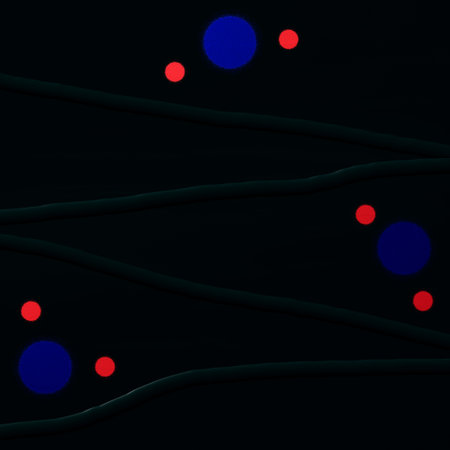 Red and blue dots on black background with smooth lines
