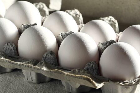 several eggs in the morning raysの写真素材