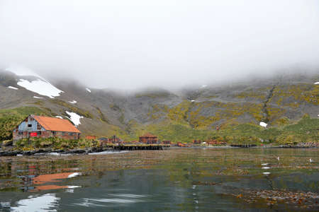 sunk whale ship near floating whale factoryのeditorial素材