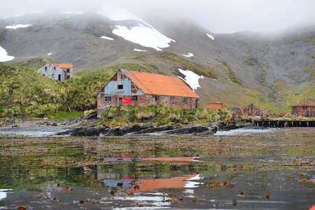 sunk whale ship near floating whale factoryのeditorial素材