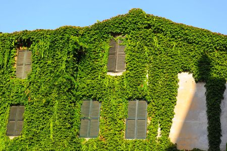 European vintage buildings with grass antennas and watch on itの写真素材