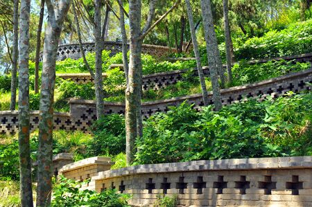 brick terrace of plant and trees in chinaの写真素材
