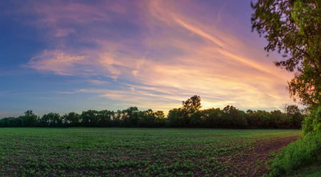 Panoramic HDR Sunset Over Agricultural Farm Fieldの写真素材