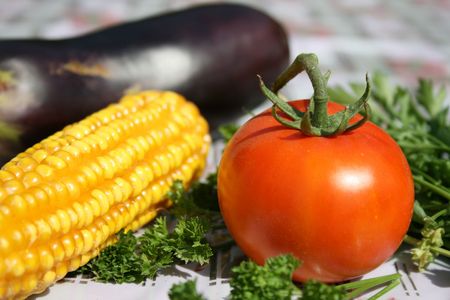 Gardener vegetablesの写真素材