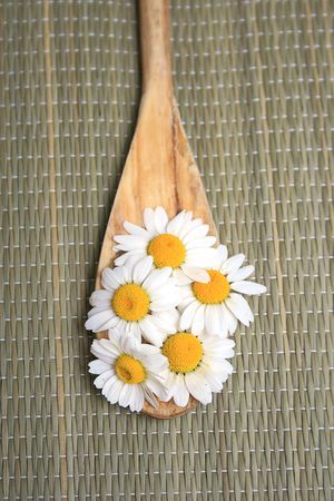  camomile flowers on wooden spunの写真素材