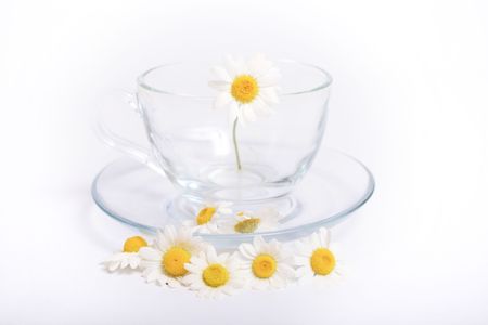 Herbal chamomile tea isolated on white backgroundの写真素材