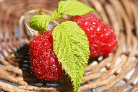  Bunch of a red  raspberry