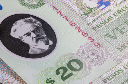 Close up to Uruguayan peso of the Republic of Uruguay. Polymer banknotes of South American country. Detailed capture of the front art design. Detailed money background wallpaper. Currency banknotesの写真素材