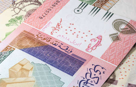 Close up to fifty pounds of the Republic of Sudan. Paper banknotes of the African sudanese country....