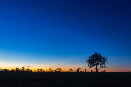 Sunrise at the Australien outback near the village of Roma, Queensland, Australia. Orange sunlight and dark blue sky, Silhouette of a tree in the foreground.   tranquil morning scenery open landscapeの写真素材