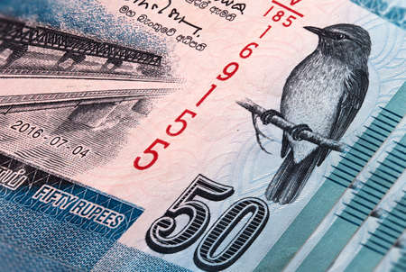 Macro photography of sri lanka 50 rupees money. Sri Lanka 50 Rupees. Close up to the Sri Lanka paper...
