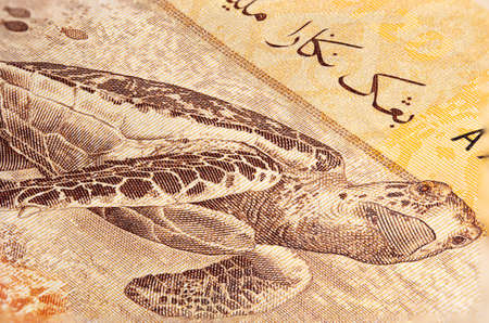 Macro close up of 20 Malaysian ringgit. Extreme close up of RM20 Malaysia. Sharp capture of the...