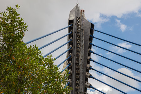 Close to the Seri Saujana Bridge in Putrajaya, Malaysia the Malaysian  Government city 40 km outside of Kuala Lumpur. Close up to the steel cable structure of the Putrajaya bridge.のeditorial素材