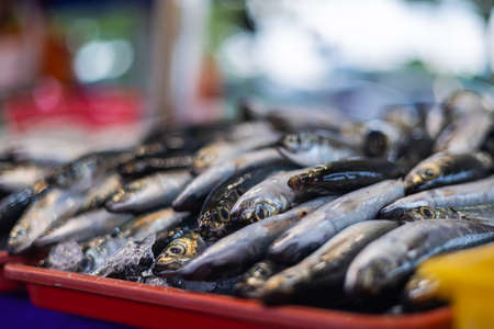 Freshly caught fish on the counter of a fishmonger in Kuala Lumpur, Malaysia. The catch of the day from the morning is sold fresh in the evening. Street markets offer all the treasures of the seaの写真素材