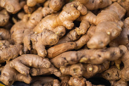 Bunch of Ginger roots. Ginger, is widely used as a spice and a folk medicine, originated in Maritime...