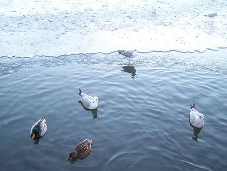Sculpture Park in Olsoの写真素材
