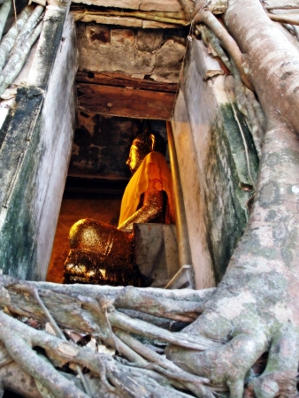   3642;Buddha in the old templeの写真素材