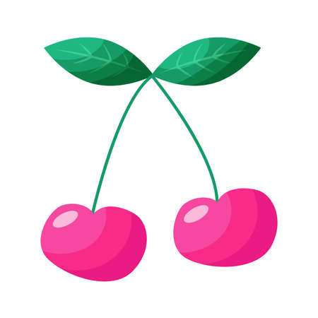 Two cherries on a twig on white background.のイラスト素材