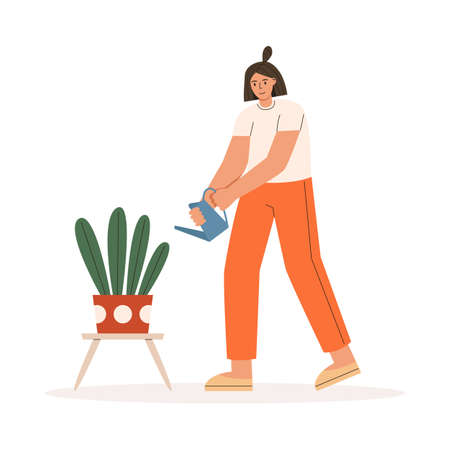 Woman watering a house plantのイラスト素材