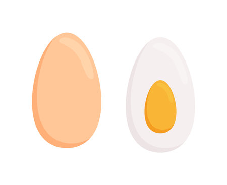Egg in eggshell, pieces boiled. Whole and half, sliced eggs. Vector isolated on white backgroundのイラスト素材
