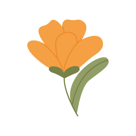 Wild flower illustrationのイラスト素材