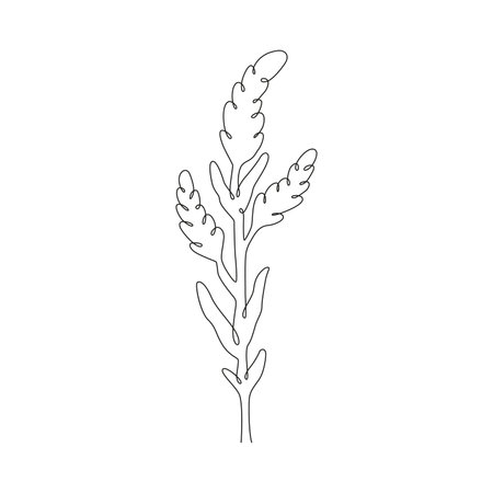 Hand drawn line art meadow flowerのイラスト素材