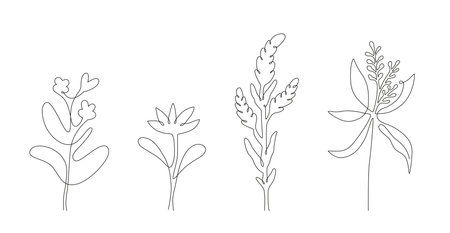 Wildflowers set in line art minimalist styleのイラスト素材