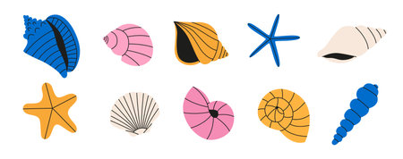 Set of seashell and starfishのイラスト素材